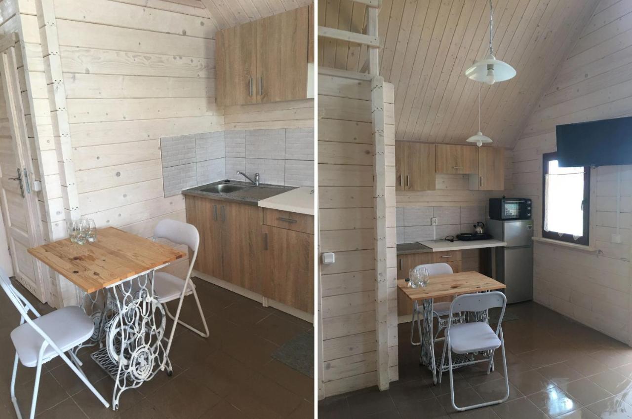 Vila Siedlisko U Agi Ryn  Exteriér fotografie
